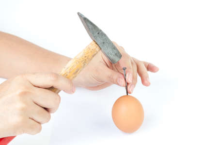 Hard egg  concept that use a hammer to knok an egg on isolated on white background close upの写真素材