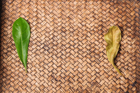 Green leaf on hand work bamboo textureの写真素材