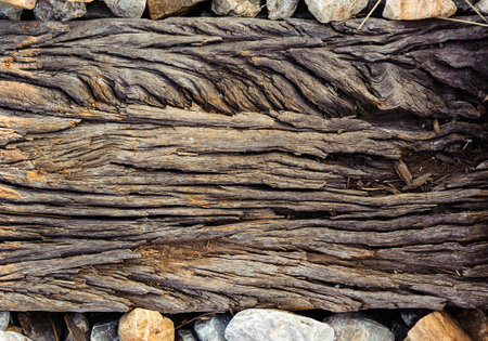 Close up old wood that support the railwayの写真素材