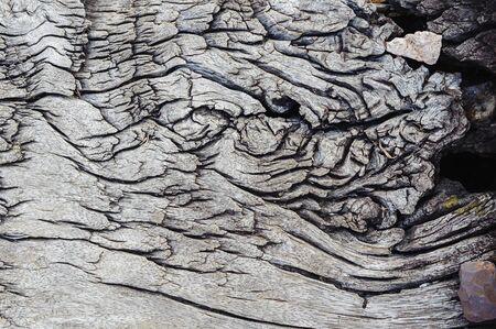 Close up old wood that support the railwayの写真素材