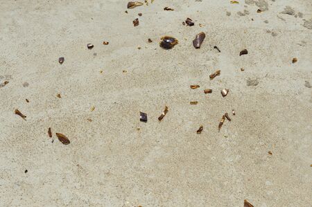 The pieces of broken brown glass bottle on concrete floor