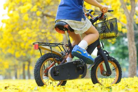 Boy ride bicycle in a park with yellow flower treeの写真素材