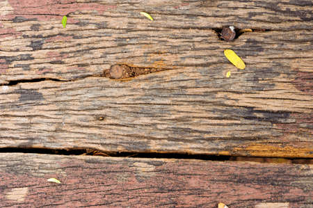 The old hard brown wood background texture