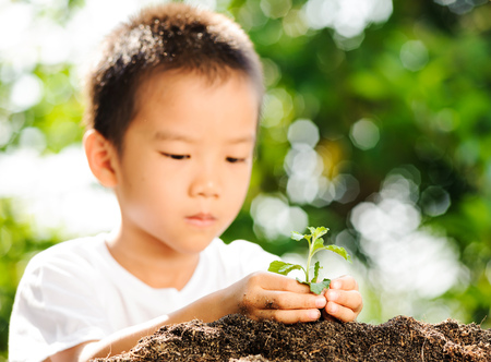 Child holding young plant in hands on green background to plant on soil. Concept Earth dayの写真素材