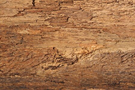 Old and grunge hard wood texture background