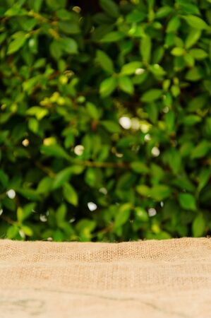 Thin focus old brown ramie sac with green leaf backgroundの写真素材