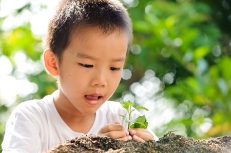 Child holding young plant in hands on green background to plant on soil. Concept Earth dayの写真素材