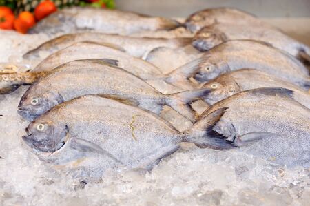 Thin focus on dead sea fish eye on ice at the restuarantの写真素材