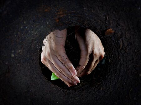 Dark tone Focus hand planting young green seedling, Shot from bottom soil hole, out focus foreground,の写真素材