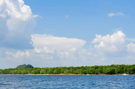 Forest on the sea White cloud on blue sky in a summer dayの写真素材