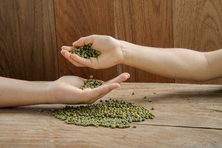 Green gram bean in child hand on grunge wood table backgroundの写真素材
