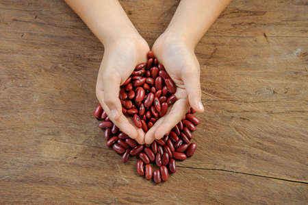 Close up dry red bean in kid hand on hard wood table