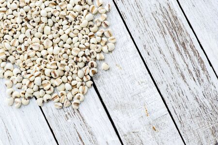 Close up Chinese herb pearl barley on grunge white table