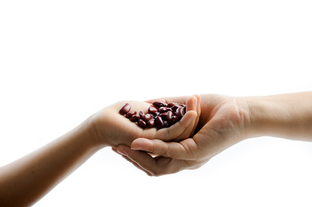 Close up dry red bean in kid hand on hard wood tableの写真素材