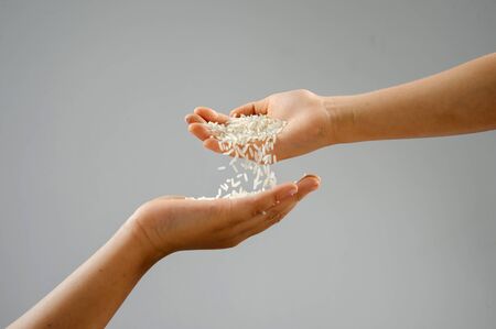 Clouse up white jasmie rice is Thailand major variety for consumption  good smell and deliciousの写真素材