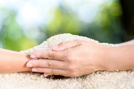 Close up white Jasmine rice variety is Thailand major variety for consumption good smell and delicious in young mother and kid hand. Selective focus in hand and blur face.の写真素材