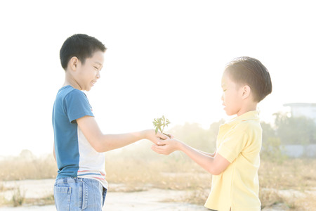 Warm tone. Selective focus on hand, Two asian boy holding young seedling plant in hands during sun rise. Concept Earth dayの写真素材