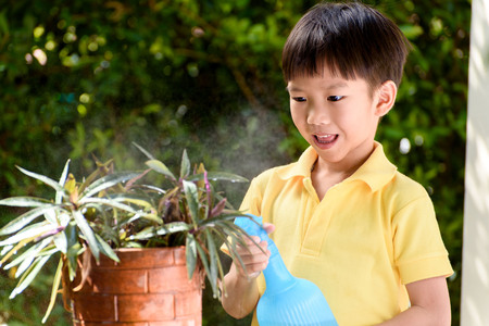 Young Thai boy spray water to the plant in his garden at home. Earth day concept.の写真素材