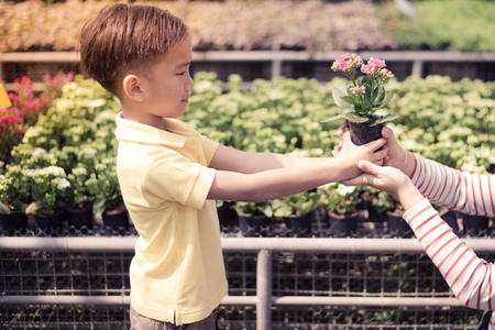 Vintage color, Young Asian boy give a little plant in small pot to the woman hand in the garden shop with yellow sunlight from the cornner of the picture. Concept Earth dayの写真素材