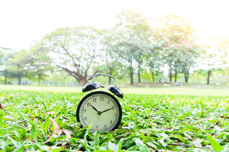 Classical black alarm clock on green grass in the park in day time.
