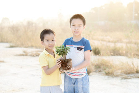 Warm tone. Selective focus on hand, Two asian boy holding young seedling plant in hands during sun rise. Concept Earth dayの写真素材