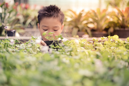 Vintage color, Selective focus, young Asian boy hand holding young plant in hands on in the garden shop with yellow sunlight from the cornner of the picture. Concept Earth dayの写真素材