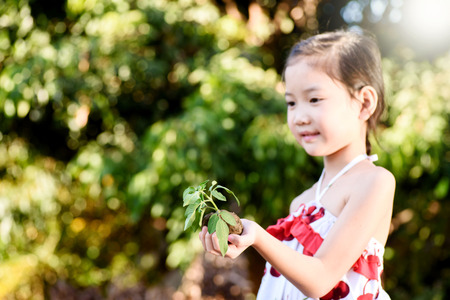 Thin focus on hand, Child holding young seedling plant in hands on green background to plant on soil. Concept Earth dayの写真素材