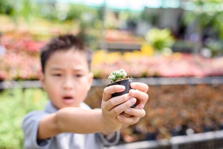 Selective focus, young Asian boy carry little cactus in hand in the garden shop.の写真素材