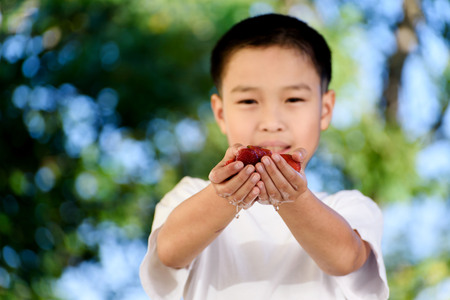 Young Thai boy carry one strawberry. Selective focus on strawberry.の写真素材