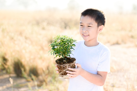 Thin focus on hand, Child holding young seedling plant in hands on dry land to plant on soil. Concept Earth dayの写真素材