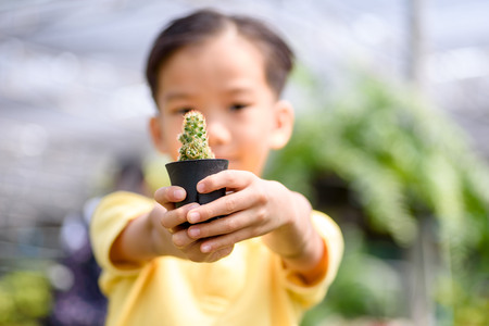 Selective focus, young Asian boy carry little cactus in hand in the garden shop.の写真素材