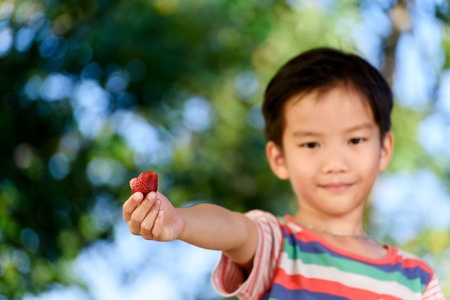 Young Thai boy carry one strawberry. Selective focus on strawberry.の写真素材
