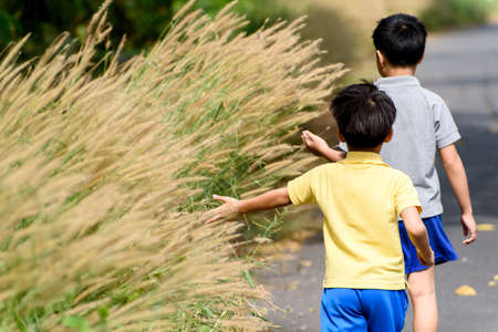 Young asian boy walk on the road play and touch grass flower in summer time.の写真素材