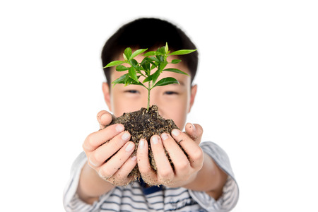 Selective focus on young hand holding the little plant seedling from the black soil and out focus boy face. Concept earth day.の写真素材