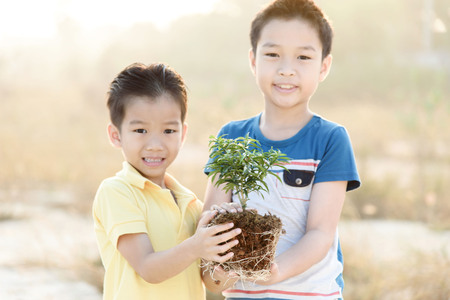 Warm tone. Selective focus on hand, Two asian boy holding young seedling plant in hands during sun rise. Concept Earth dayの写真素材