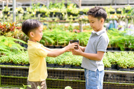 Young Asian boy give a little plant in small pot to the woman hand in the garden shop. Concept Earth dayの写真素材