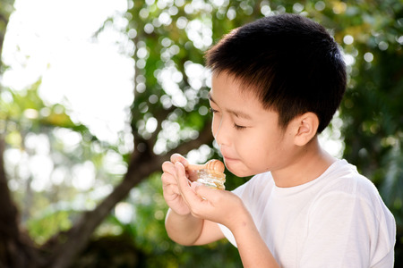 Young Thai boy try to test honey from honey comb in the garden.の写真素材