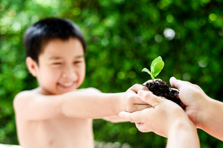 Selective focus on plant, Child holding young seedling plant in hands sharing to another hand. Concept Earth dayの写真素材