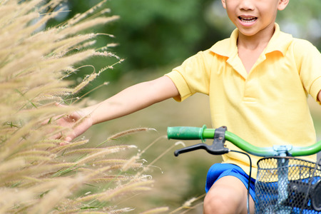 Young Asian boy ride a blue bicycle and touch the grass flower on the old road beside the tree and grass in summer time with warm sunlight.の写真素材