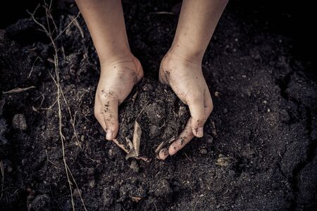Dark tone color, Close up Child hand carry black and organic soil.の写真素材