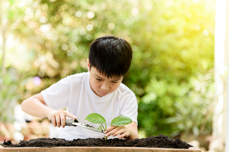 Selective focus at hand, Young Thai boy planting little seedling on the black soil in the garden. Earthday concept.の写真素材