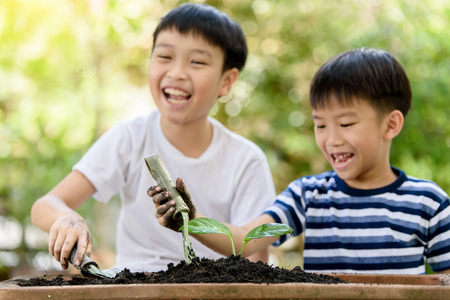 Selective focus at hand, Young Thai boy planting little seedling on the black soil in the garden. Earthday concept.の写真素材