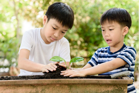 Selective focus at hand, Young Thai boy planting little seedling on the black soil in the garden. Earthday concept.の写真素材