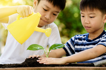 Selective focus at hand, Young Thai boy water on little seedling on the black soil in the garden. Earthday concept.の写真素材