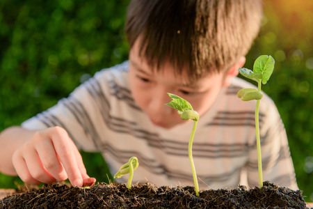 Selective focus at hand, Young Thai boy planting little seedling on the black soil in the garden. Earth day concept.の写真素材
