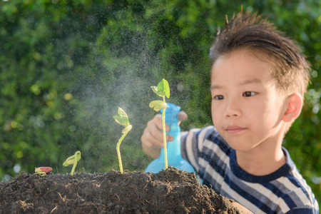 Selective focus at plant, Young Thai boy spray water to little seedling on the black soil in the garden. Earth day concept.の写真素材