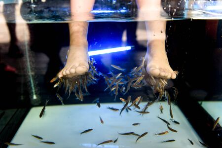 Foot spa by little fish in fresh water by little feet of children