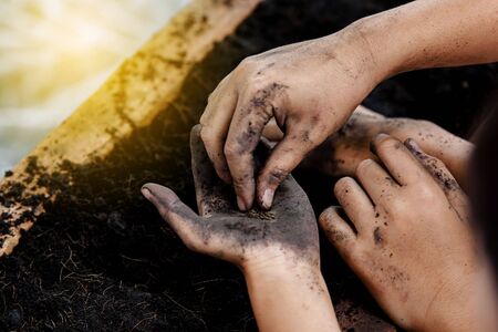 Selective focus at hand of put a little seed into black soil. Earth day and family conceptの写真素材