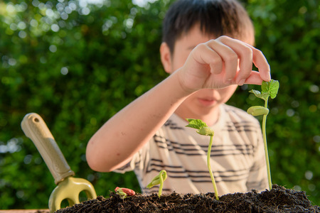 Selective focus at hand, Young Thai boy planting little seedling on the black soil in the garden. Earth day concept.の写真素材