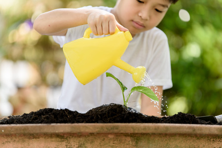 Selective focus at hand, Young Thai boy water on little seedling on the black soil in the garden. Earthday concept.の写真素材